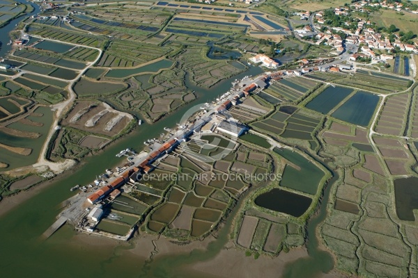 Port ostréicole de Chatressac, Pays Royannais, Charente-Maritime