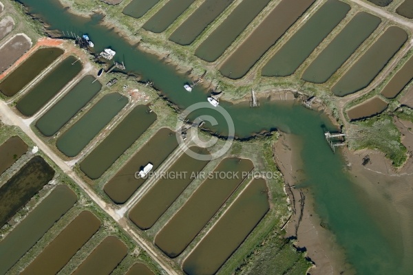 Port ostréicole de Coux, Arvert, Charente-Maritimes 17