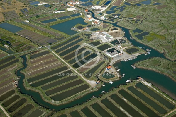 Port ostréicole de Coux, Arvert, Charente-Maritimes 17