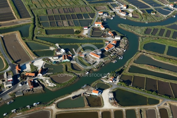 Port ostréicole de la Grève à Duret, Pays Royannais