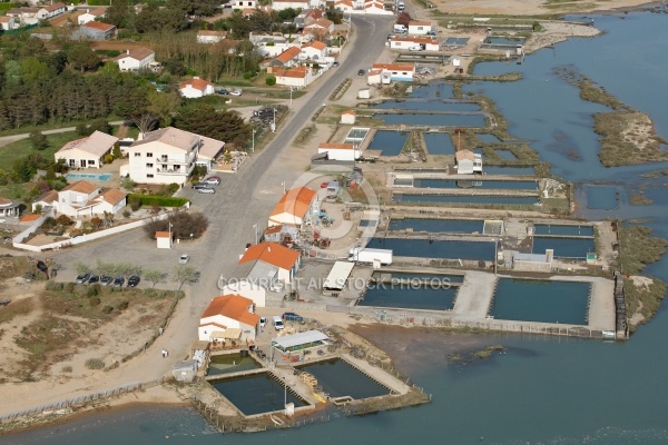 Port ostréicole de la Guittière, Vendée 85