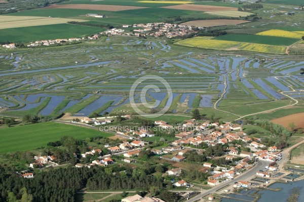 Port ostréicole de la Guittière, Vendée 85