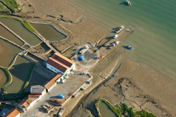Port ostréicole de la Tremblade La route Neuve