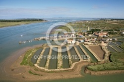 Port Ostréicole de Marennes d Oléron 17320 - Charente Maritime