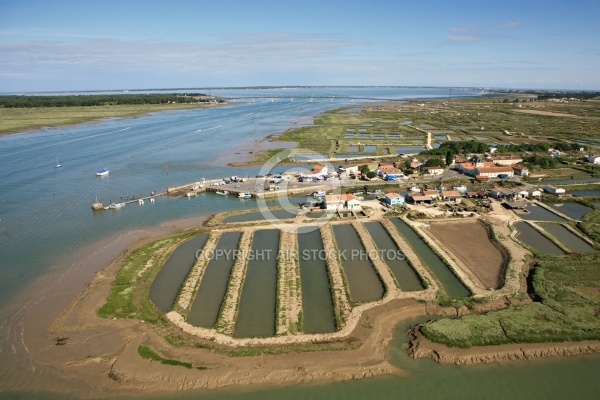 Port Ostréicole de Marennes d Oléron 17320 - Charente Maritime