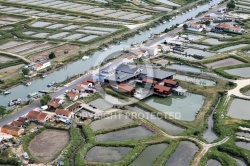 Port Ostréicole de Marennes d oléron  7320