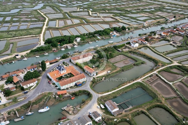 Port Ostréicole de Marennes d oléron  7320