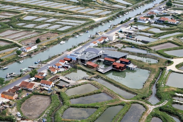 Port Ostréicole de Marennes d oléron  7320