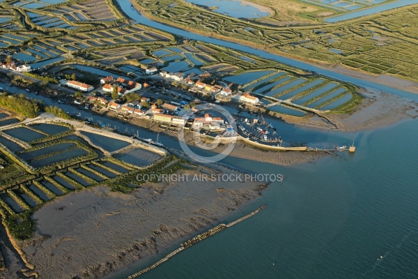 Port ostréicole de Marennes vue du ciel