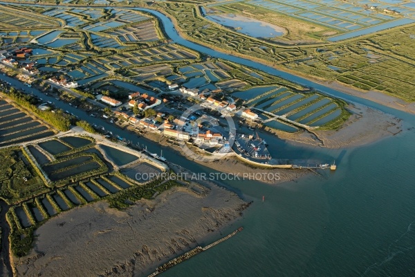 Port ostréicole de Marennes vue du ciel