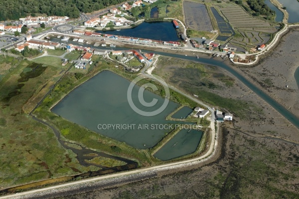 Port ostréicole de Saint-Trojan-les-Bains