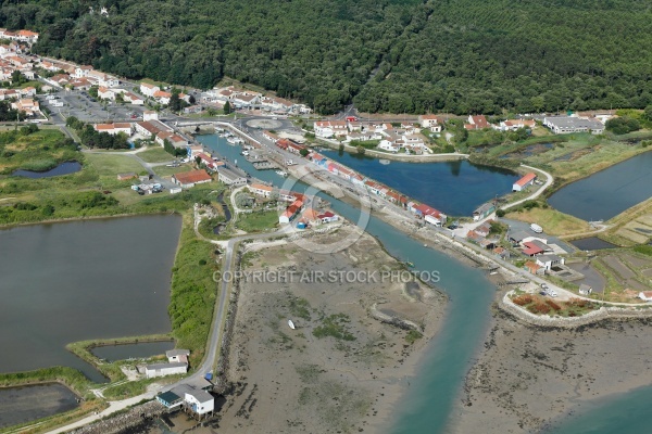 Port ostréicole de Saint-Trojan-les-Bains vue du ciel