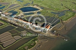 Port ostréicoles la route Neuve de la Tremblade