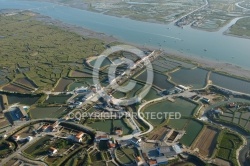 Port otréicole de la Grève, La Tremblade, Charente-Maritime