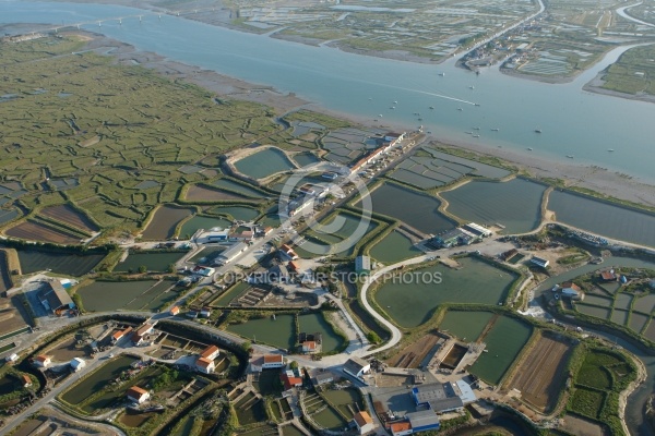 Port otréicole de la Grève, La Tremblade, Charente-Maritime