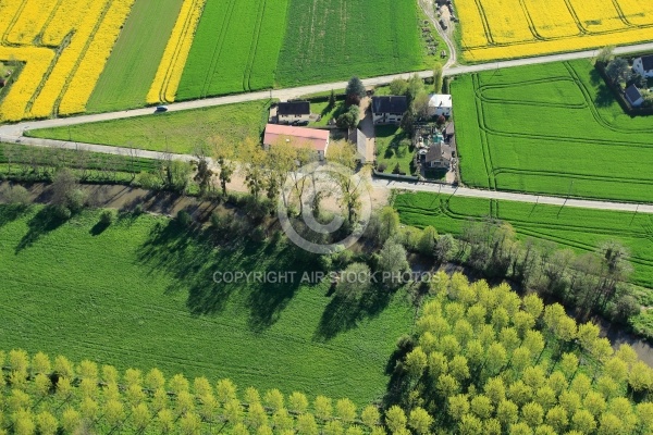 Printemps colza vue aérienne Printemps colza vue aérienne