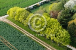 Printemps à Obville 78660