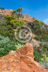 Provence, massif de l Esterel