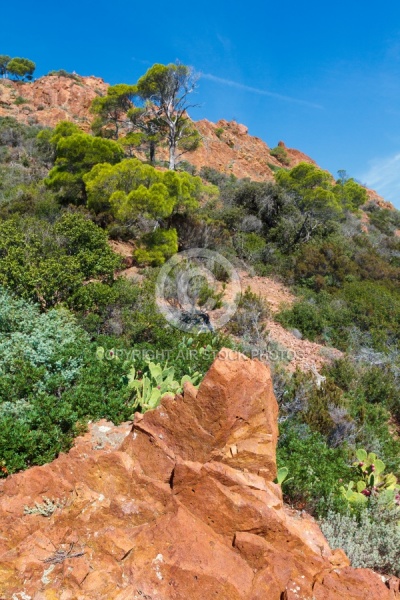 Provence, massif de l Esterel