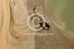 Reconstruction des dunes de la pointe d Arçay, Xynthia, Vendée