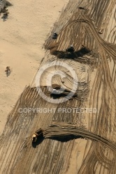 Reconstruction des dunes suite à la tempête Xynthia de février 2