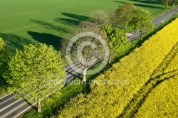 Route de printemps en Eure-et-Loir 28