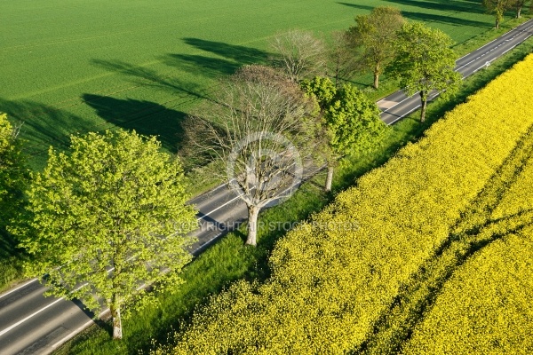 Route de printemps en Eure-et-Loir 28