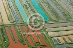 Réserve Naturelle ornithologique de du Marais Moëze-Oléron