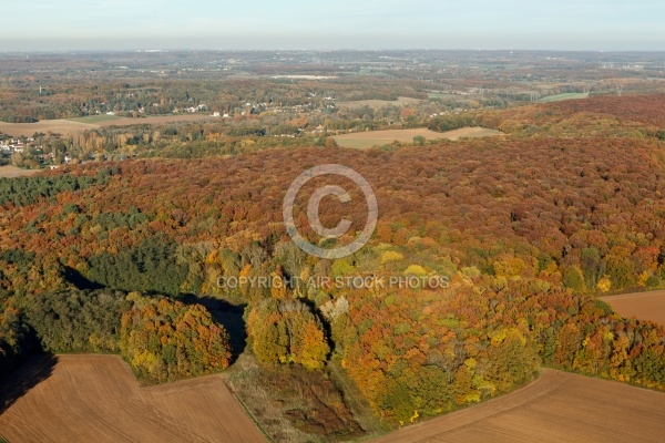 Saint-Cyr-Sous-Dourdan vue du ciel en Automne Saint-Cyr-Sous-Dourdan vue du ciel en Automne