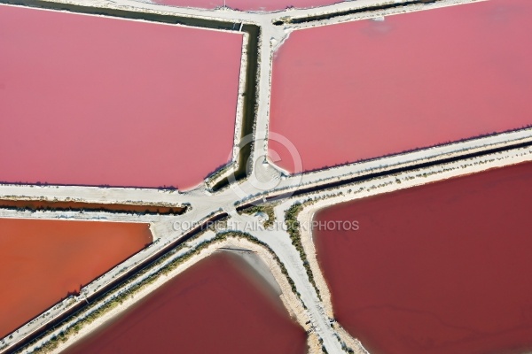 Salines d Aigues-Mortes 30220, vue du ciel