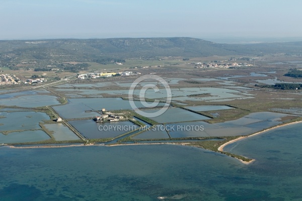 Salins de Frontignan