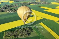 Survol  colza en MontgolfiÃ¨re