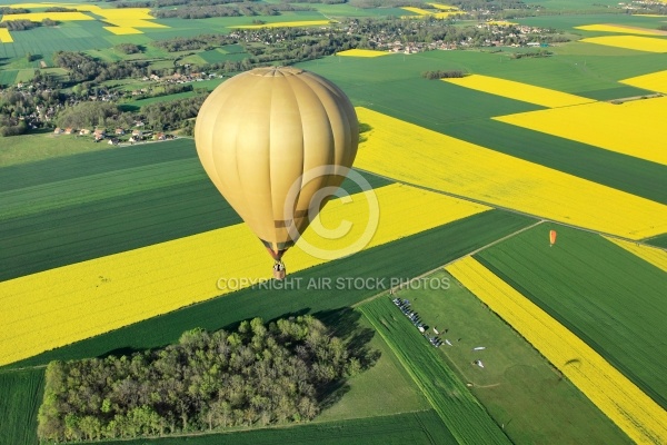 Survol  colza en MontgolfiÃ¨re