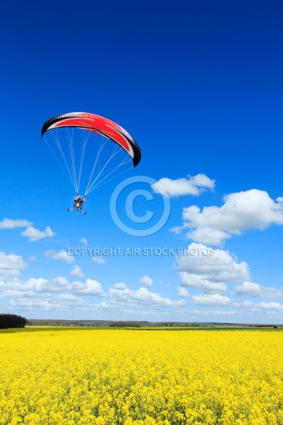 ULM paramoteur et colza