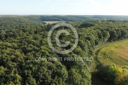 Vallée de la Renarde, Souzy-la-Briche vue du ciel