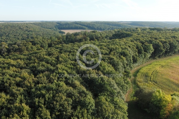 Vallée de la Renarde, Souzy-la-Briche vue du ciel