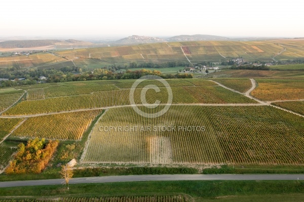 Vignobles de Sancerre