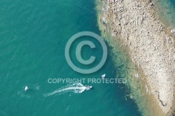 vue aerienne de l Ile Mousker, Golfe du Morbihan 56