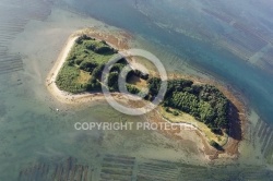 vue aerienne de l île Drenec île d Arz, Golfe du Morbihan 56
