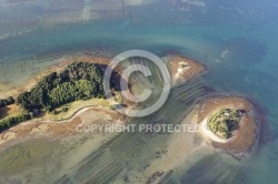 vue aerienne de l île Drenec île d Arz, Golfe du Morbihan 56