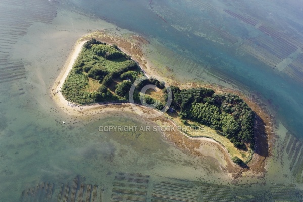vue aerienne de l île Drenec île d Arz, Golfe du Morbihan 56