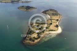 vue aerienne de lîle de Govihan,  Golfe du Morbihan 56