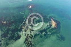 vue aerienne du Golfe du Morbihan 56