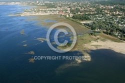 vue aérienne de Gujan Mestra, bassin d Arcachon