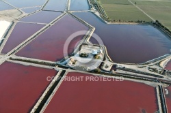 vue aérienne des Salines d Aigues-Mortes