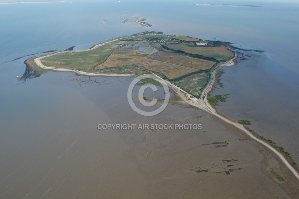 vue aérienne de l Île Madame , Charente-Maritime 17