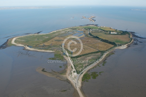 vue aérienne de l Île Madame , Charente-Maritime 17