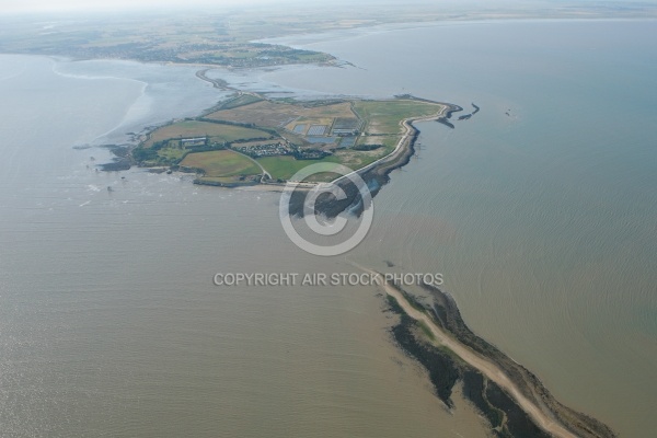 vue aérienne de l Île Madame , Charente-Maritime 17