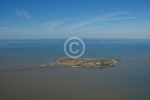 vue aérienne de l Île Madame , Charente-Maritime 17