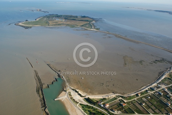 vue aérienne de L ïle Madame, Port-des-barques , Charente-Mariti